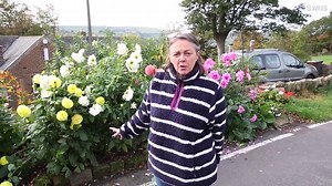 Sheffield couple given one week to dig up 'dangerous' flower beds
