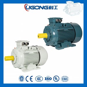 [Hot Item] Industrial Three Phase Electric Motor Used for Shot Blasting Machine