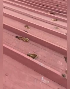 4 comments | Imagine if someone is collecting rain water from this roof for consumption! He for don swallow many Pikins | Segun Oladimeji Fagbemi | Facebook