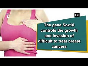 This new switch may control aggressive breast cancer