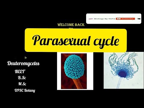 Parasexual Cycle I Duetromycetes Characteristic I UPSC Botany I M.Sc I B.Sc Biology By Neha Binwal