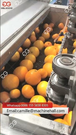 Orange Fruits Washing Waxing And Grading Machine
