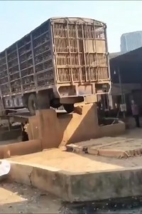 24K views · 132 reactions | Amazing Duck and chicken farm | proininews.gr - Πρωινή Εφημερίδα | Facebook