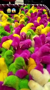 10K views · 127 reactions | Humans has made the Earth a hell for...