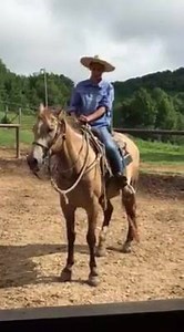 35 reactions | Horseshoe Canyon Ranch on Reels | Facebook