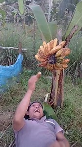 1.4M views · 27K reactions | Goodvives trending compilation we all laugh | Romel Olaco | Facebook