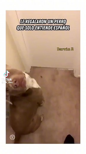 🤣🤣🤣🤣 | AMW Academy