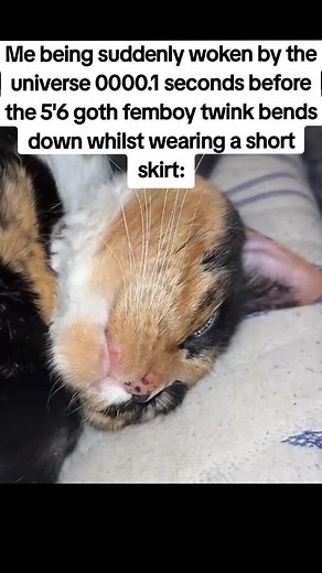 Goth Femboy Styles: Embracing the Aesthetic