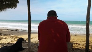 「ベネズエラの日当たりの良い砂浜に腰を下ろした男は、犬を横に連れて海を眺め、後景から眺めている」の動画素材（ロイヤリティフリー）3793248837 | Shutterstock