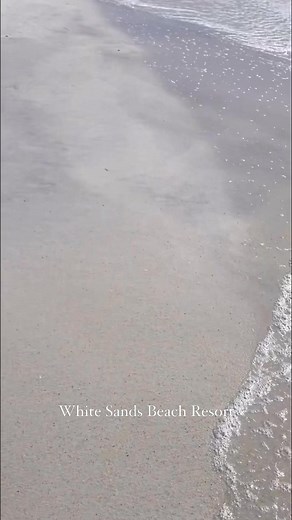 Happy Friday #fallwaves #happyfamily #fall2024 #winterinflorida #holmesbeach #vacationgoals #vacationtime #thesunshinestate | White Sands Beach Resort - Gulf Front - Anna Maria Island