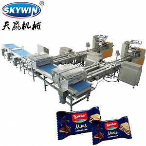 [Hot Item] Wafer Packing System with Flow Packing