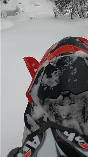Snowmobiling in deep snow with tree lines