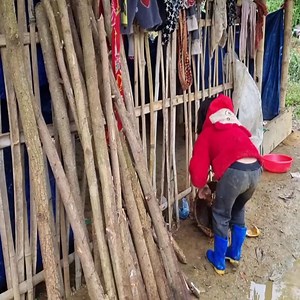 Poor orphan sister going to sell tobacco and collecting firewood but don't see her younger brother Part 18 | MildredNelson