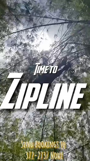 “Calling all thrill-loving adults! Our zipline is back and ready to elevate your excitement levels! 🪂🌟 Book your adventure today and soar through the skies like never before. #ZiplineAdventure #AdrenalineRush #BackInAction” #ziplineintrinidad #trinivibes #summer #thrill #insta #instagram #instagood #love #photooftheday #beautiful #fashion #fitness #travel #motivation #nature #art #music #photography #selfcare #instadaily #adventure #bikes | Zipitt