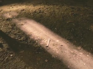 8.1M views · 140K reactions | Hollywood action movies seen ⭐❤!! #viralreels #facebookreelsviral #reels | Sameer Ahmad | Facebook