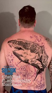 Carlos Torres Art on Reels