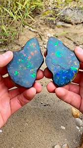 Incredible Natural Opal Split in Half Revealing Stunning Rainbow Fire #opal #opalstone #blackopal #fireopal #rainbowopal #preciousstones #raregems #gemstone #crystal #crystals #mining #rockhunting #stonecracking #satisfying #oddlysatisfying #nature #naturelovers #gemlover #viralvideo #reelsviral #shorts #fyp #trending | Putra Agate Hunter