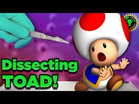 Game Theory: You Are WRONG About Toad!