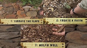 Sloping Sites - Gardening Australia