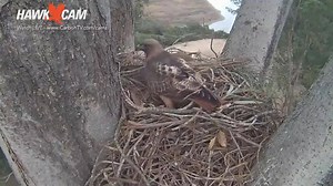 30K views · 92 reactions | Check out the NEW #CarbonTV LIVE...