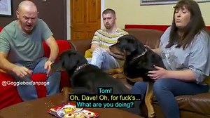 Dave made a mess of the cakes | GoggleboxFanpage