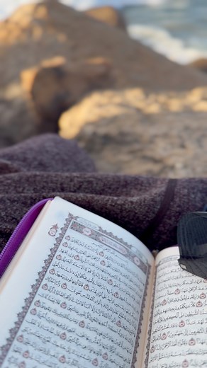 Looking For calm!! Try to find calm place and read allah book 😉 #quranrecitation | صياد طرفاوي sayad tarfawi