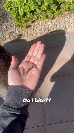 5.7K views · 32 reactions | Such a cool dude! | Caroline | Facebook