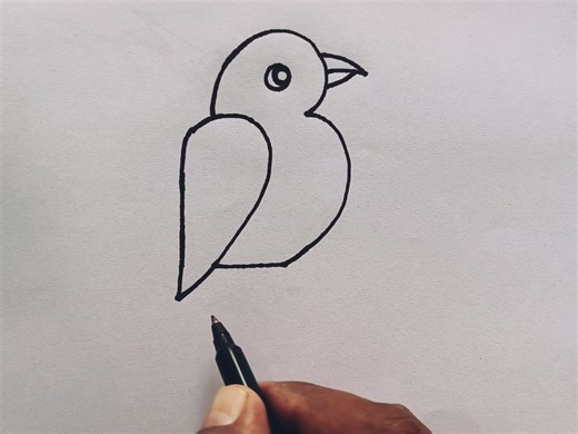 Parrot drawing wit flag 👌👌 #drawing #artwork #painting #artist #draw | Drawing Teacher