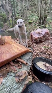 4K views · 469 reactions | healing veal poc in stone pot : The Note Cook #outdoorcooking #camping #camp #kamp #outdoor #survival #bushcraft #cooking #food #foodvideo #adventures #wild #nature #natural #doğadayemek #cookingadventures #foodporn #asmr #yemektarifleri #relax #crunch #hungry | The Note Cook | Facebook