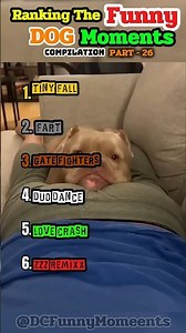 #26 - RANKING THE FUNNIEST DOG MOMENTS 🐺 😂 #dog #cutedogs
