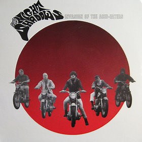 The Night Shadows - Invasion Of The Acid-Eaters