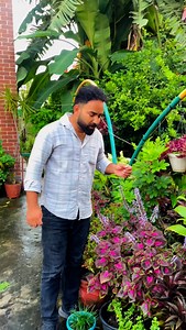 10K views · 2.5K reactions | Saving our coleus #coleus #gardening #save #your #coleus #plant #winter #flowers #nature #garden #botany #plantlover #monstera | Steve Fernandes | Facebook