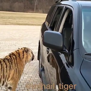 348K views · 2.5K reactions | Follow - Cuteness overdose Open the door :/ | Cuteness overdose | Facebook