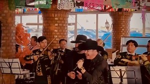 16K views · 372 reactions | No!  | Arturo Peniche | Facebook