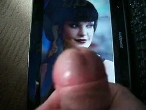 tribute to pauley perrette