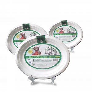 [Hot Item] Biodegradable Disposable Sugarcane Bagasse Round Plate with Shrink Package