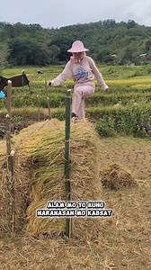 16K views · 482 reactions | Biag ti mannalon kakabsat ❤️ alam mo to kung naranasan mo❤️ kahit isang HI lang para sa suporta  #fblifestylechallenge #everyonehighlightsfollowers #everyoneシ゚ #everyonehighlights #followersreels #everyonefollowers #bukidislife #everyoneactive #everyone #mannalon #biagtimannalon #buhaymagsasaka | Julie Ann Paganao Sabaway | Facebook