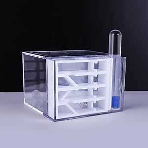 Transparent Ant Farm Adult House - Observation Box With Feeding Area for Children and Amateur Behavior Research - Live Ants and Queen Education Nest - Adult Gifts
