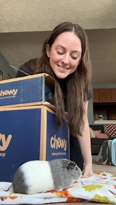 1.1M views · 2.6K reactions | Shop All Small Pet Essentials at Chewy! | Chewy | Facebook