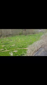 4.2K views · 59 reactions | Erecting the Tibetan flag at the phantom...