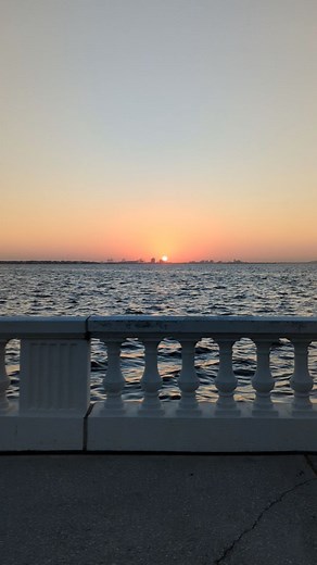 59 reactions · 18 shares | ☀️South Tampa Sunshine Update Currently 76, High of 97, Mostly Cloudy. | South Tampa is Awesome | Facebook