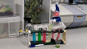 Oh no, the Elf has made his way into the iSTEM Centre and is trying his hand at a couple of science experiments in the Prep room 👨‍🔬🌋😬 | Preston College