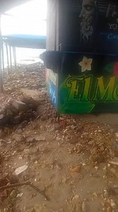 Necesito la ayada de una mano amiga | Camarones Berrioberrio