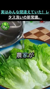 レタスを食べる前に知るべき注意点と健康効果