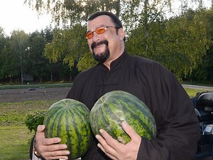 Amid sexual harassment allegations, tape leaks of Steven Seagal calling female reporters 'c---suckers'
