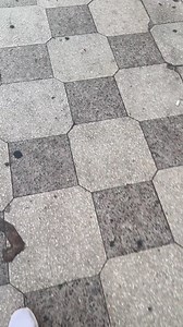 10K views · 145 reactions | Aqaba jordan on Reels | Facebook