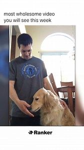 31K views · 859 reactions | We don't deserve dogs | Weird History | Facebook