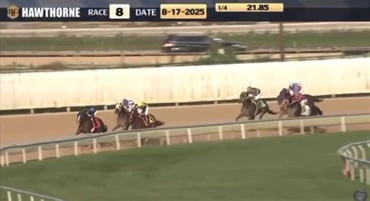 2.1K views · 33 reactions | Santiago González obtuvo su segunda vicroria de la jornada durante la tarde del domingo 17 de agosto en Hawthorne Racecourse cuando depositó victoriosa a BLACK GINGER, entrenada por Elías López. Agradezco a Elías y su equipo de trabajo por la oportunidad y triunfo! ✅️✅️ #JockeyAgent  RTN/Hawthorne Racecourse | La Escuelita Hípica | Facebook