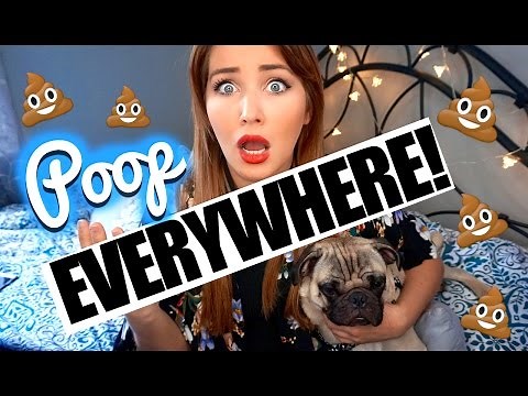 MOST EMBARRASSING POOP STORY EVER!!!