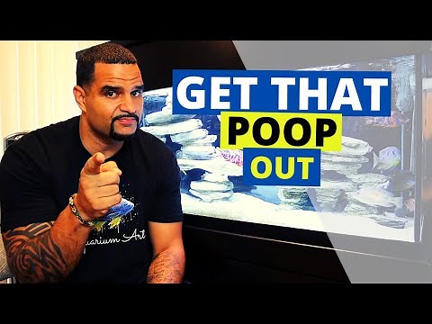 Aquarium Vacuum - Cleaning Aquarium Substrate - (Sand and Gravel)